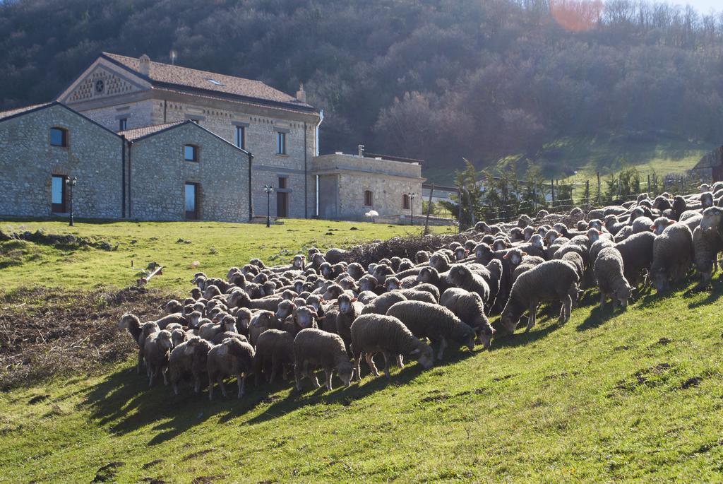 Masseria Salecchia Bovino Exteriér fotografie